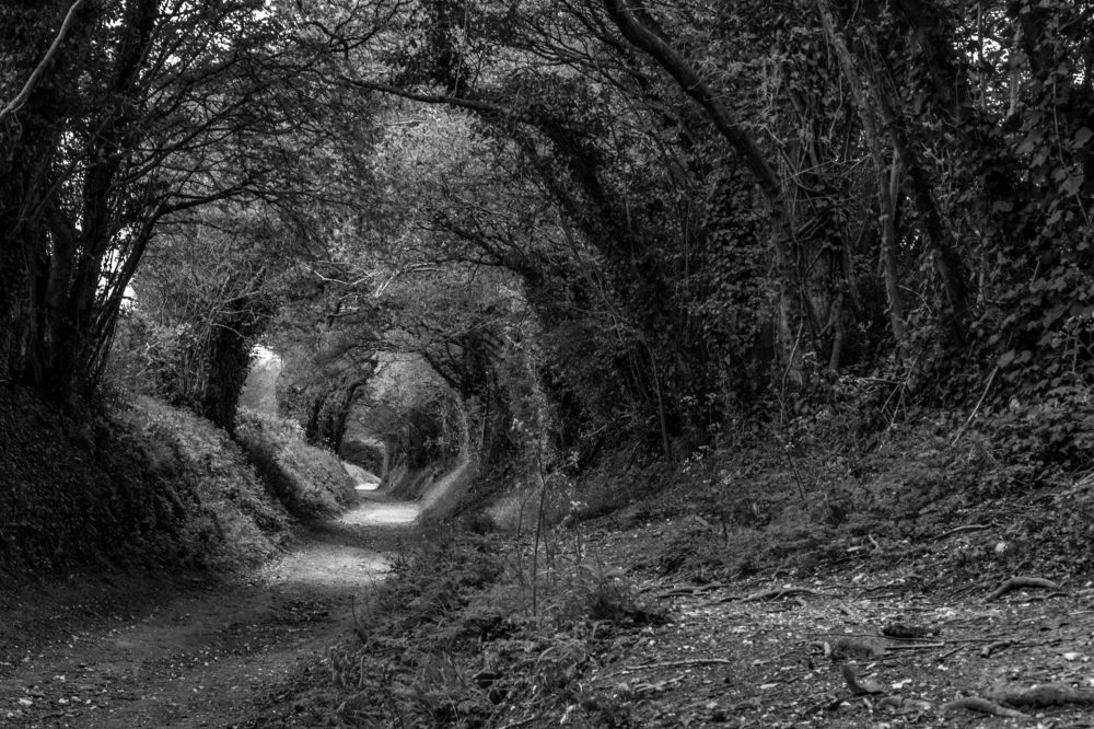 Photograph by Sergejs Barkans