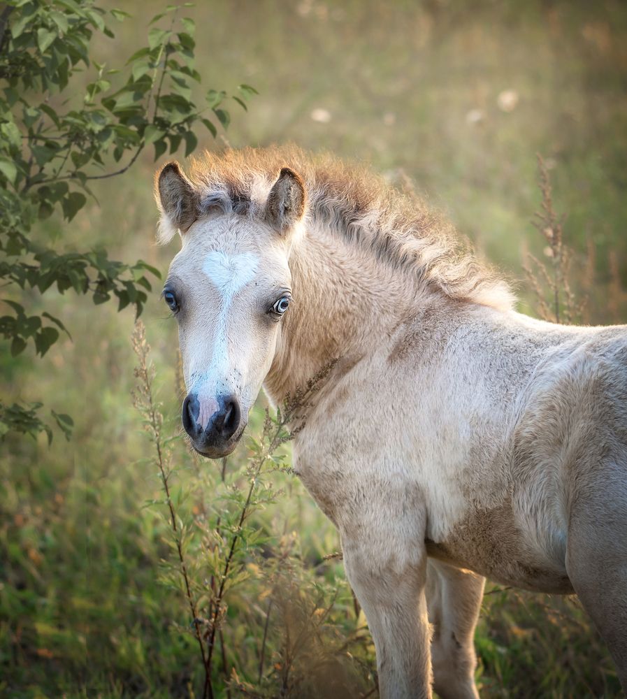 Photograph by Екатерина Лебедева