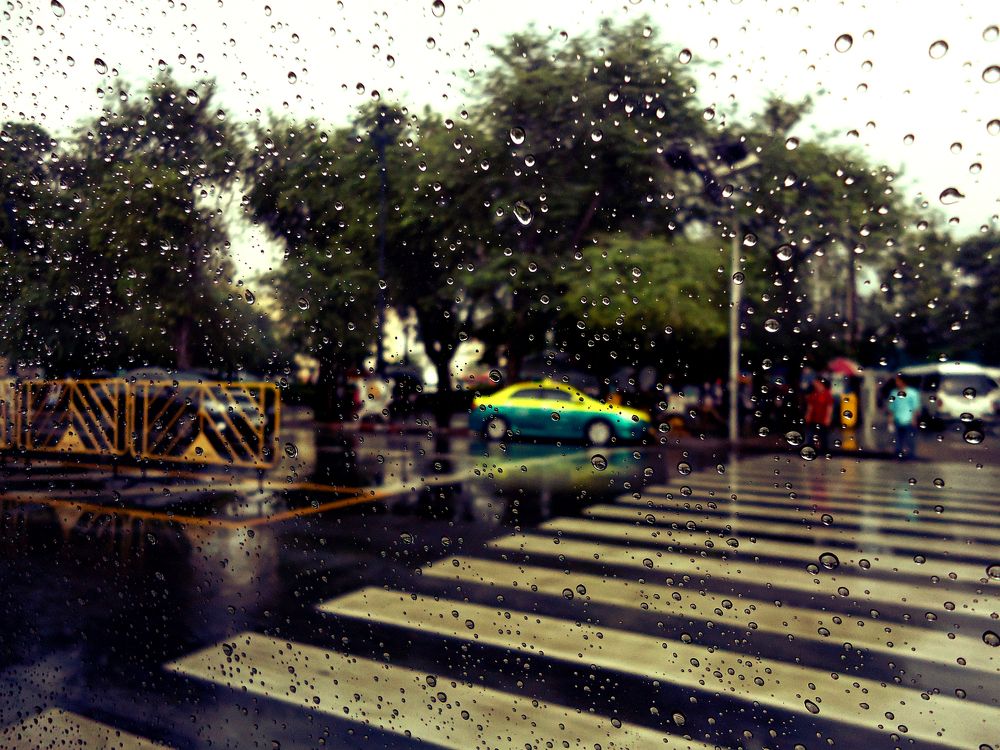 Photograph by SHAHZAD KAZMI