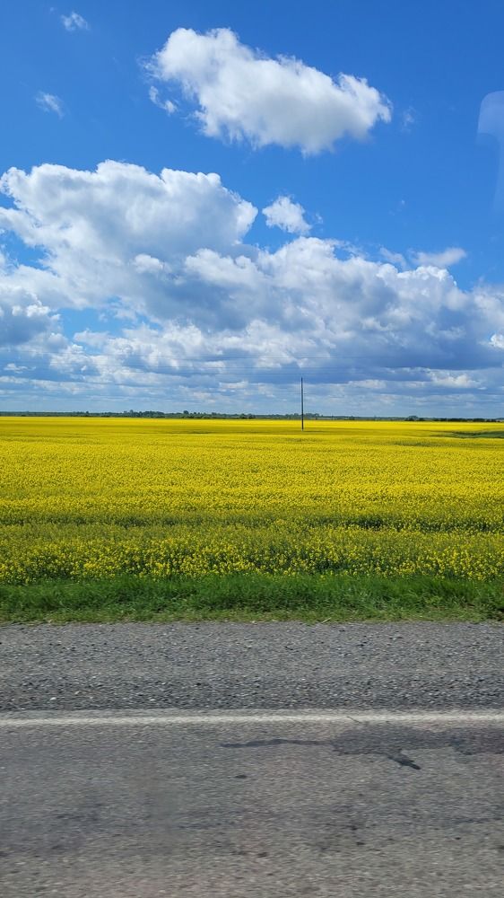 Photograph by Александра Карпикова