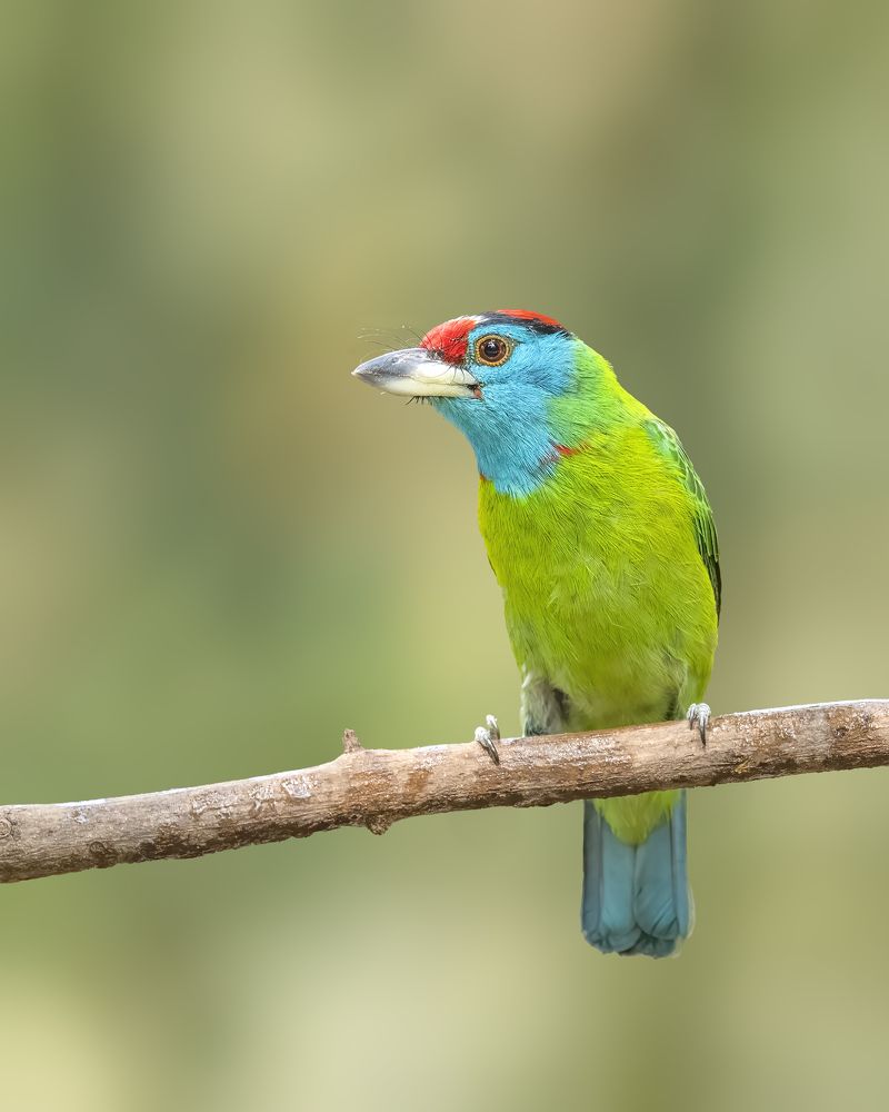 Photograph by Sushmeet Kathuria