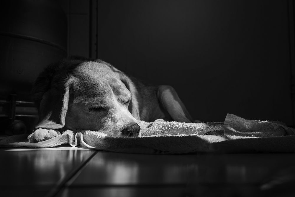 Photograph by Eduardo Machado