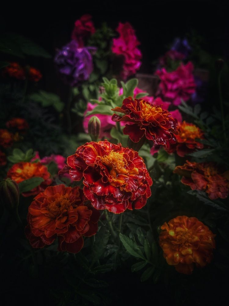 Photograph by Артур Гиниятуллин