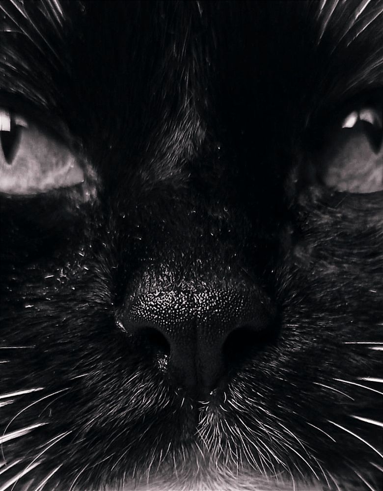 Photograph by Светлана Барабанова