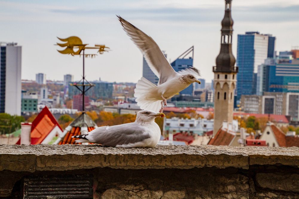 Photograph by Ирина Разетдинова