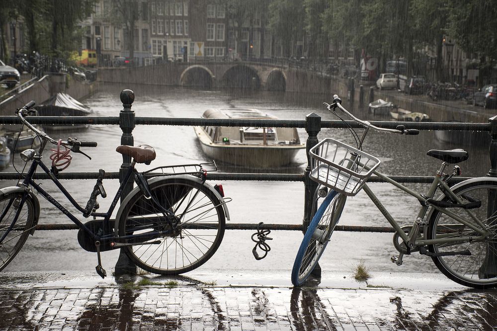 Photograph by Davor Goll