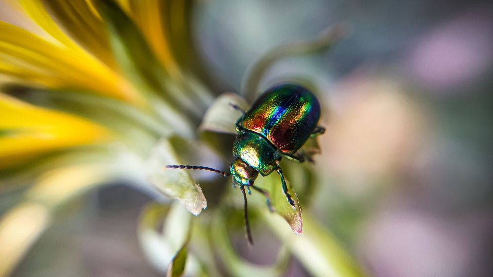 Photograph by Екатерина Хужаева