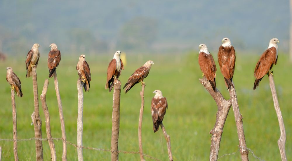 Photograph by Pakalon Janakan