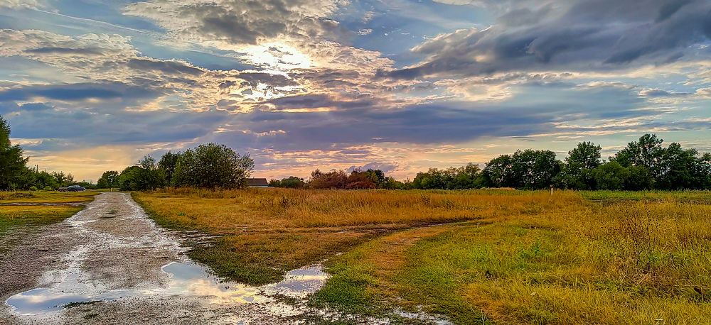 После дождя