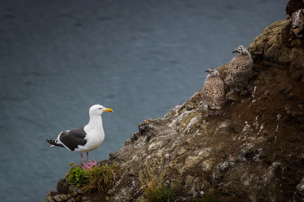 Photograph by Бравичева Анастасия