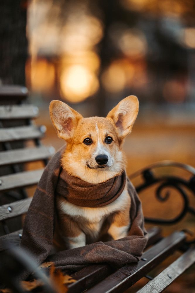 Photograph by Марина Колобанова