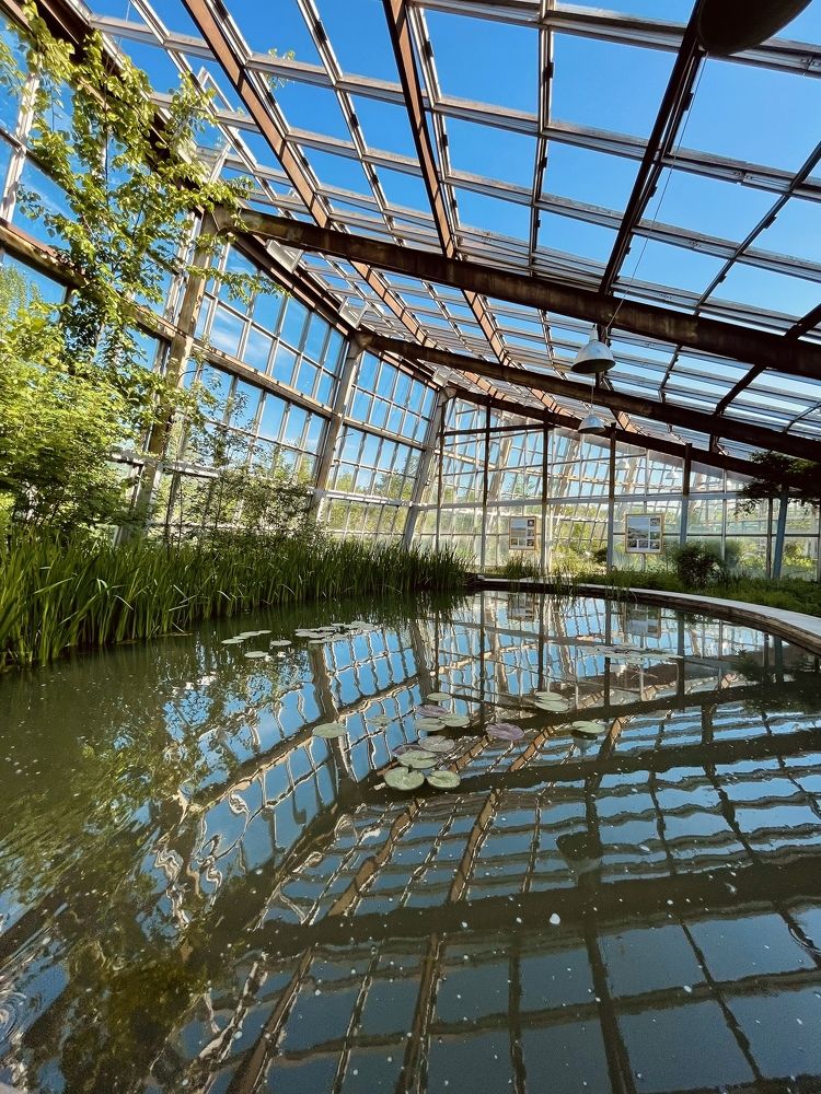 Photograph by Anna Avetisyan