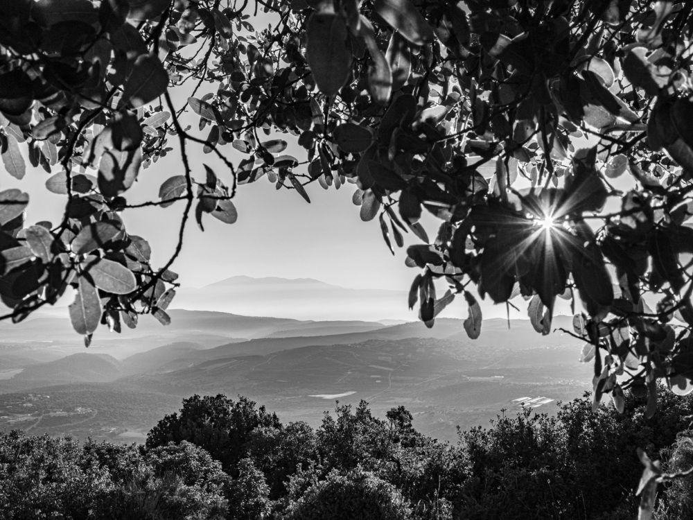 Photograph by Svetlana Kirzh