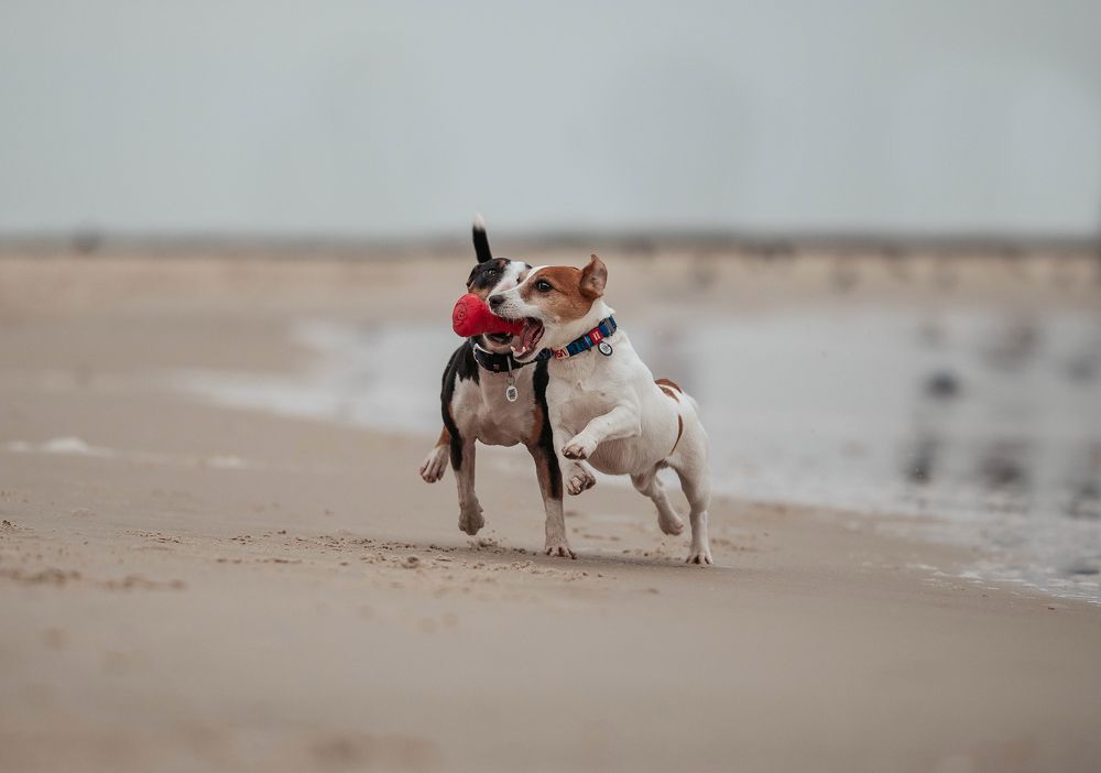 Photograph by Марина Колобанова