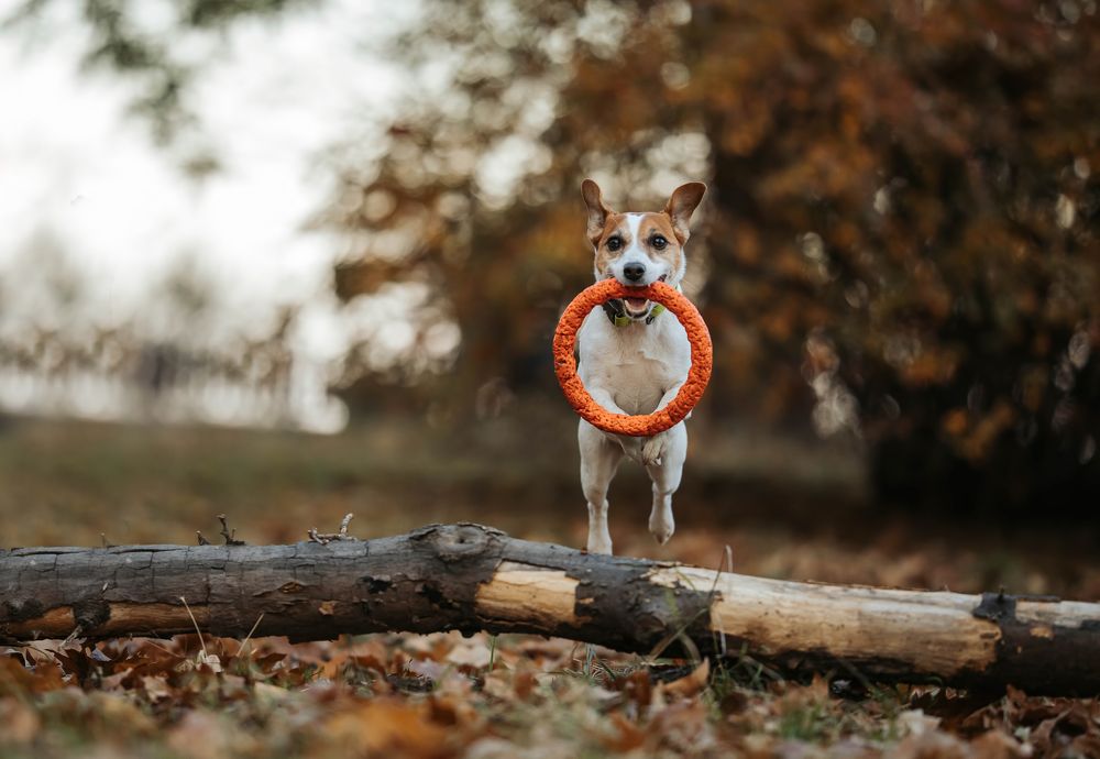 Photograph by Марина Колобанова