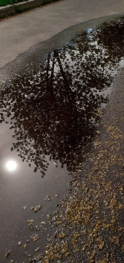 Photograph by Евгения Ульянова