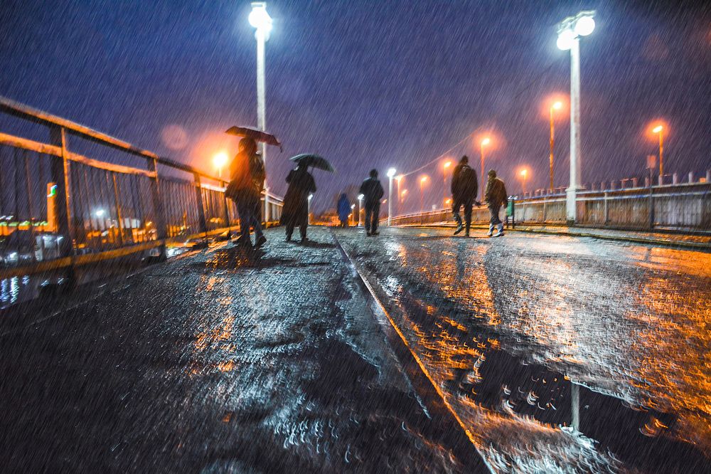 Photograph by seyedmohamad tabrizi