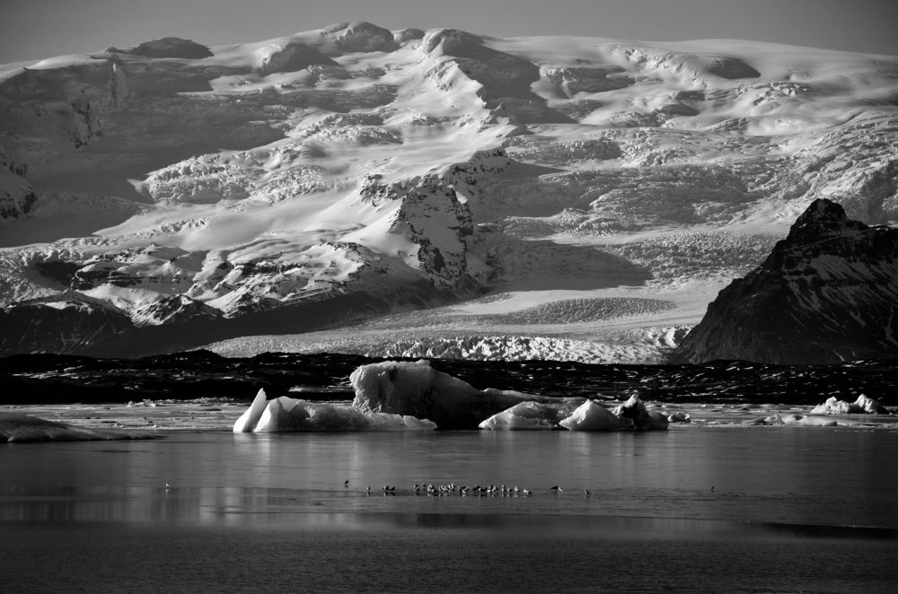 Photograph by Aleksandra