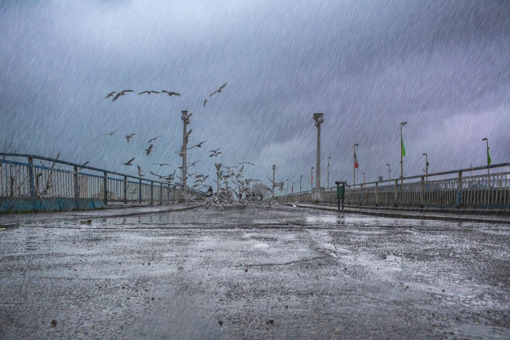 Photograph by seyedmohamad tabrizi