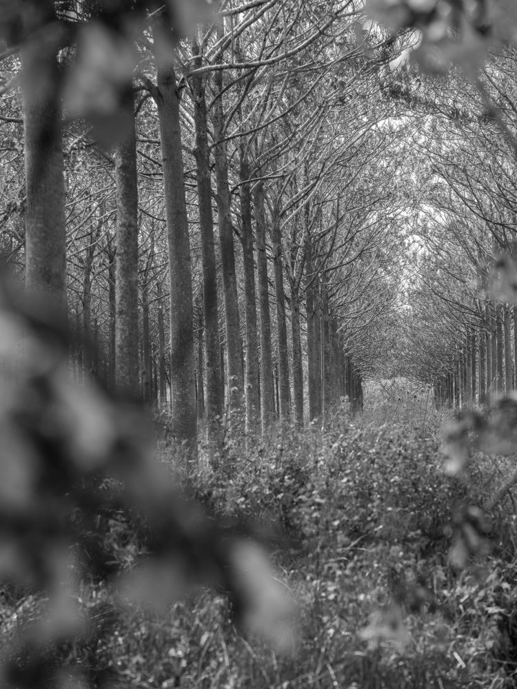 Photograph by Svetlana Kirzh