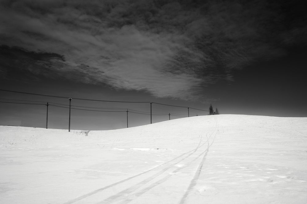 Photograph by Тимофей Забугин