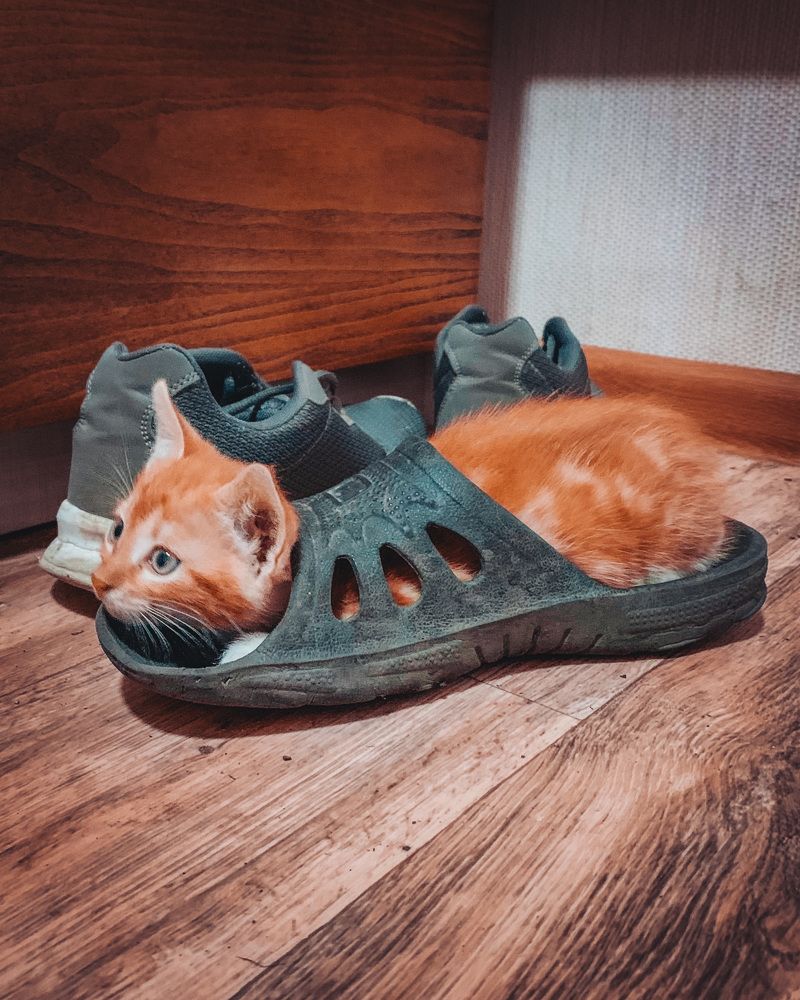 Photograph by Наталья Ключинская