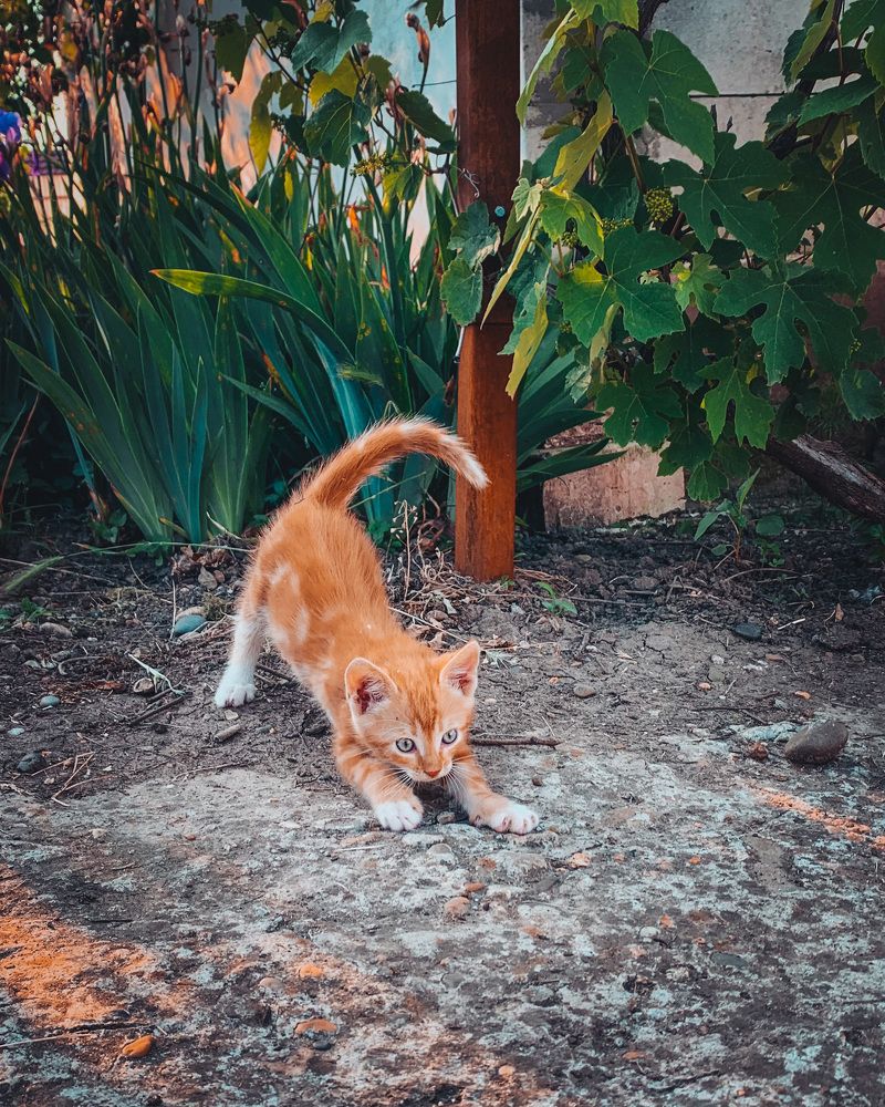 Photograph by Наталья Ключинская