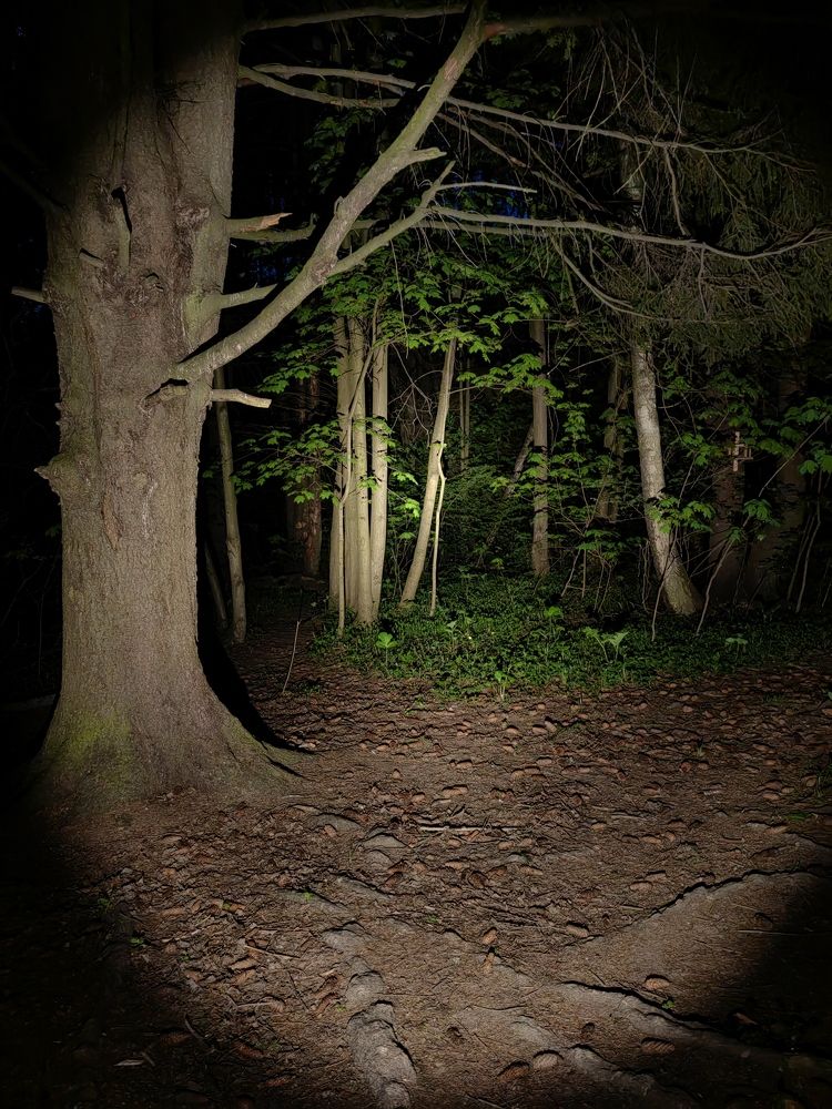 Photograph by Пётр Калачев