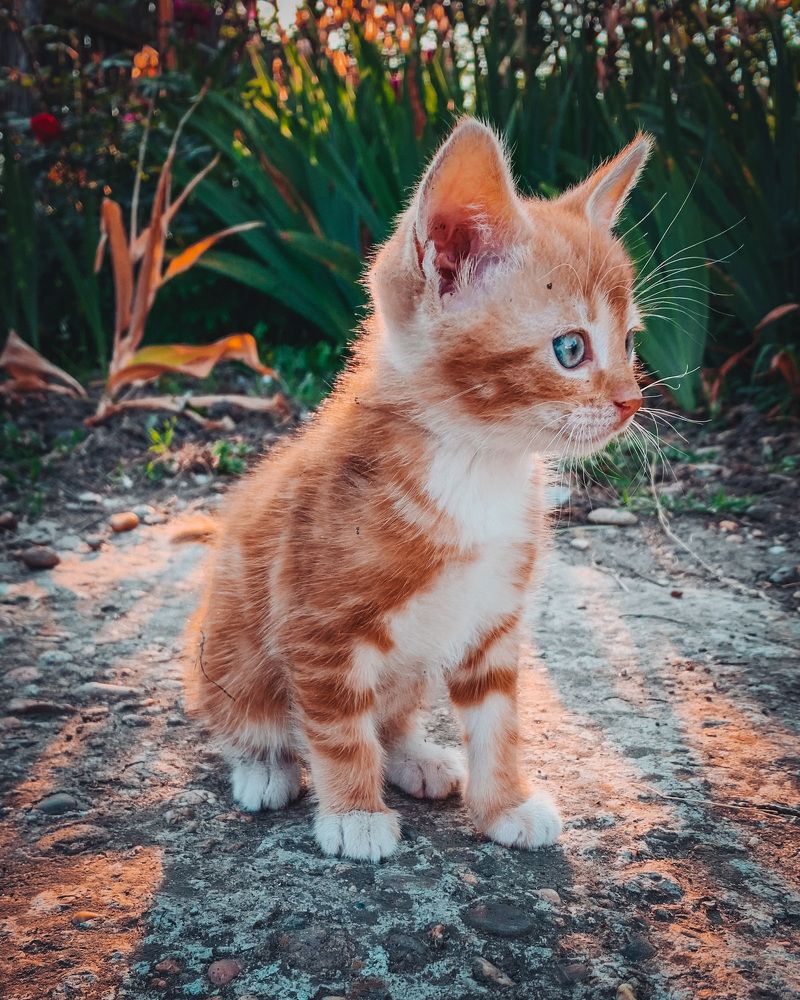 Photograph by Наталья Ключинская