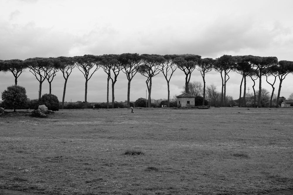 Photograph by Аудрюс Балчетис