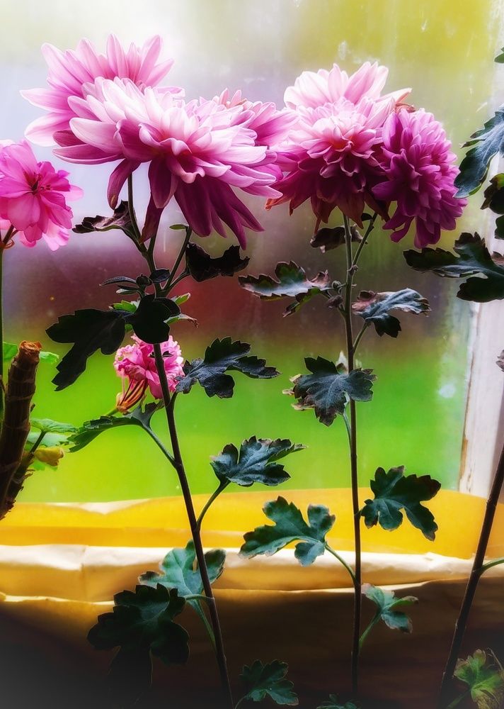 Photograph by Екатерина Хужаева