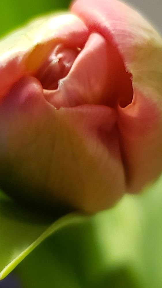 Фотография автора Al