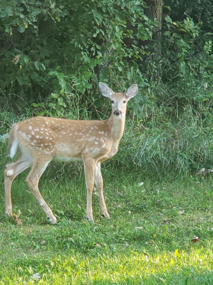 Фотография автора Al