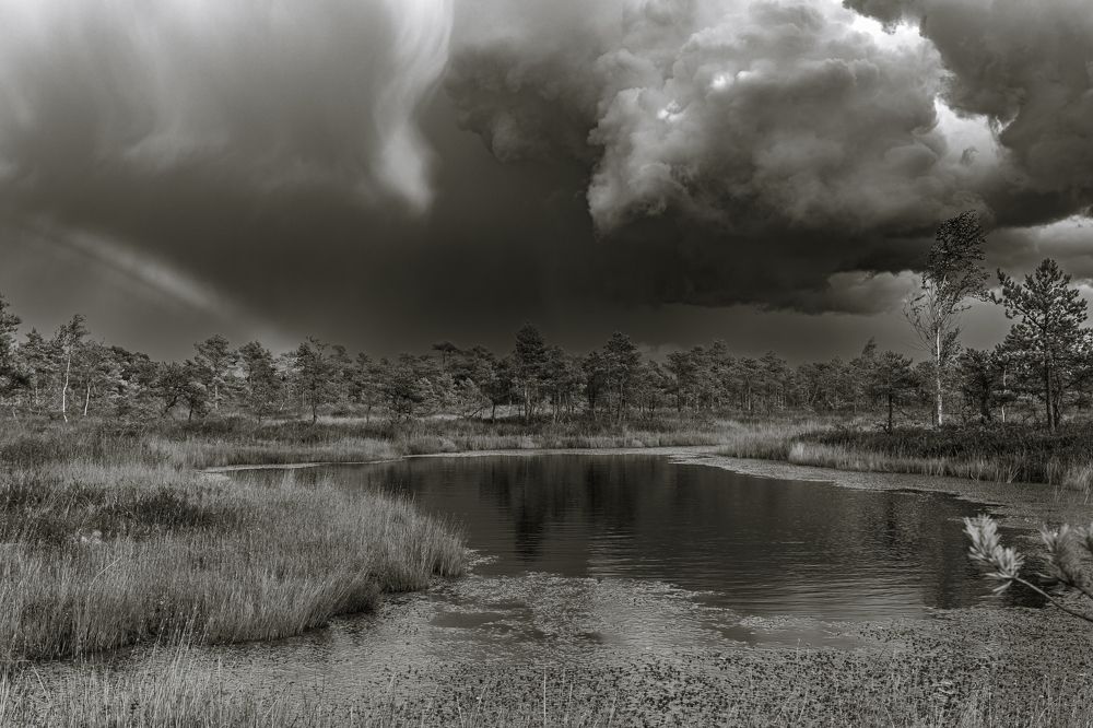 Photograph by Парфентьев Антон