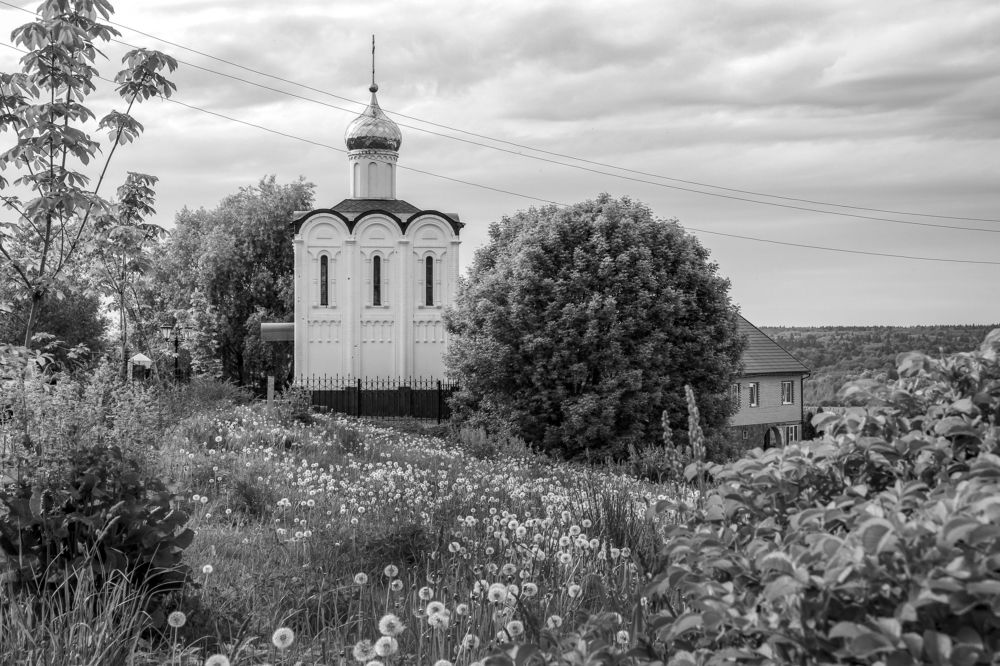 Дорожка из одуванчиков