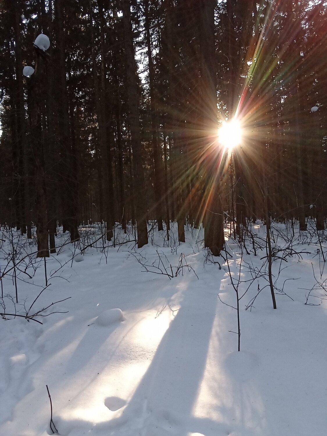 Photo #7613426