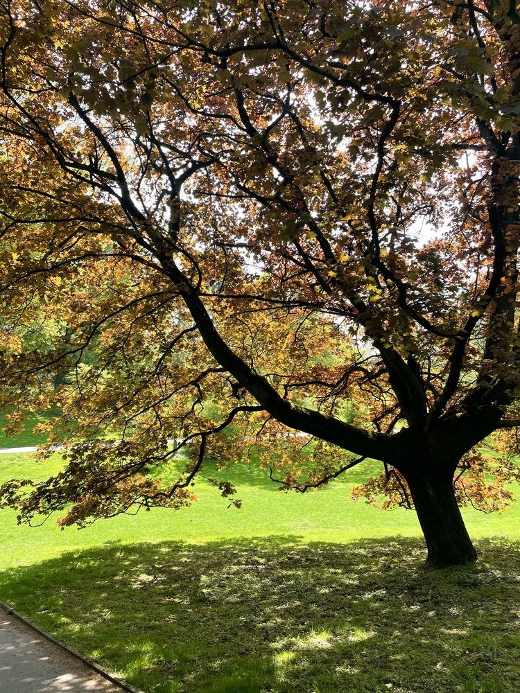 Photograph by Julia Grauberger