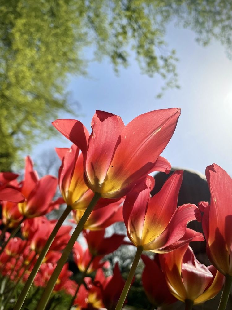 Photograph by Julia Grauberger