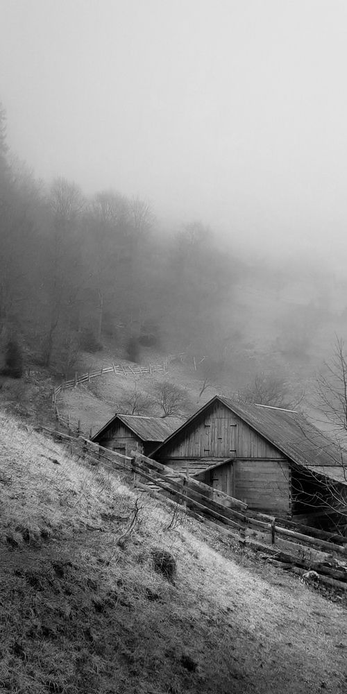 Photograph by Ольга Богорад