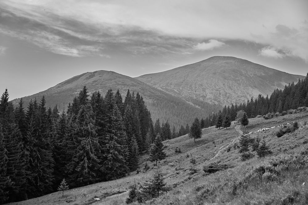 Photograph by Александр Серняк