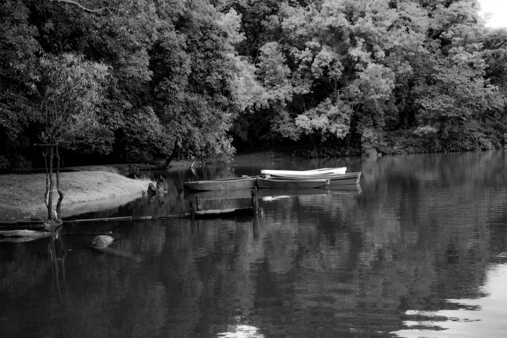 Photograph by Juan Carlos Pascual López