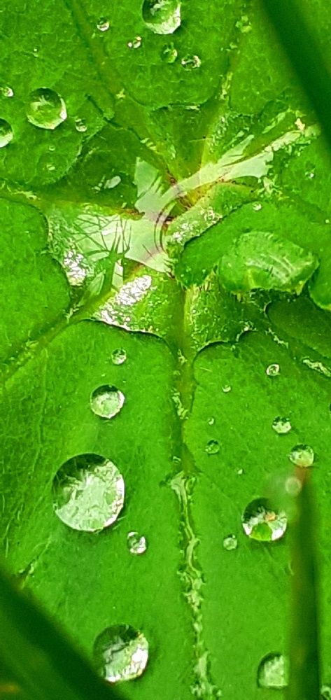 Photograph by Евгения Ульянова