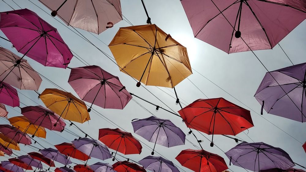 Photograph by Анастасия Кашенко