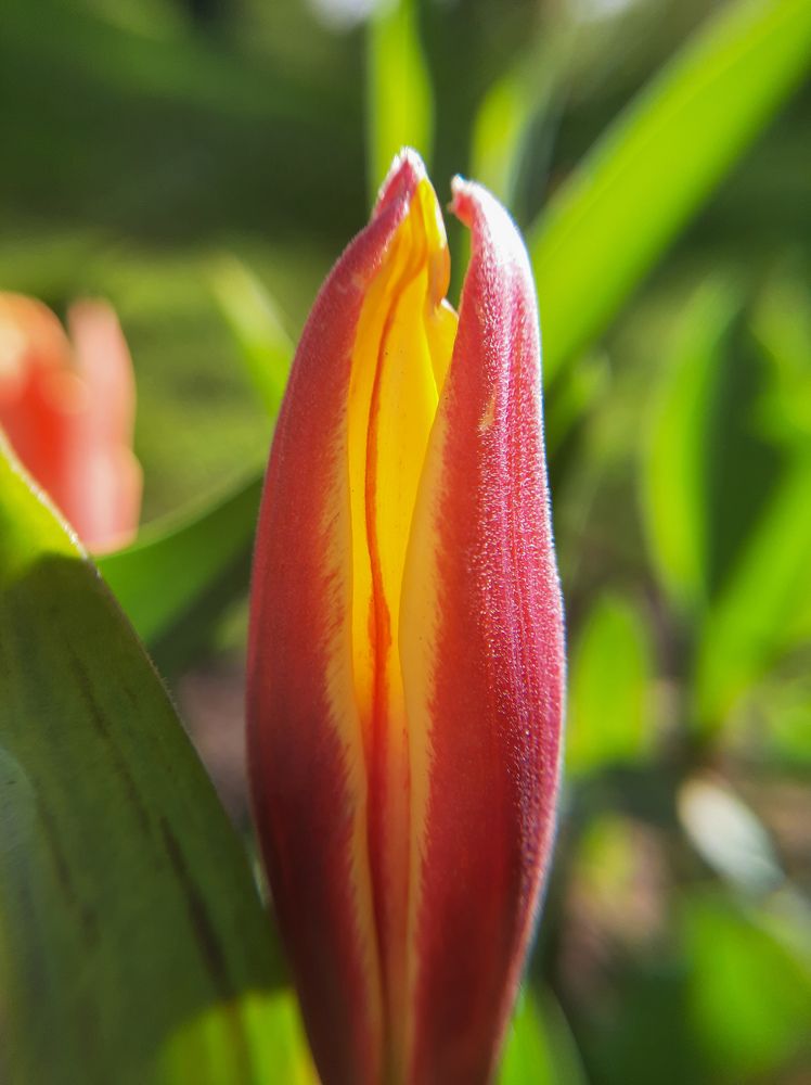 Фотография автора Светлана Дунаева