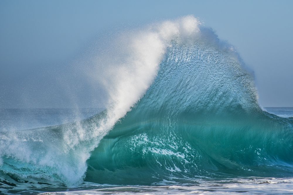 Photograph by Noe Castro