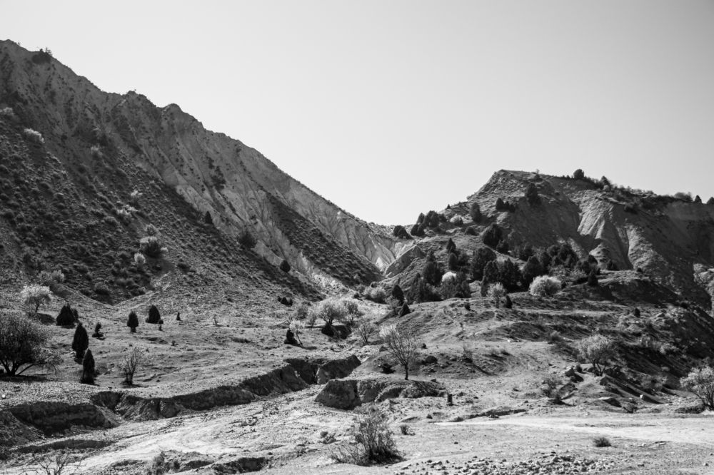 Photograph by Elena Mingazova