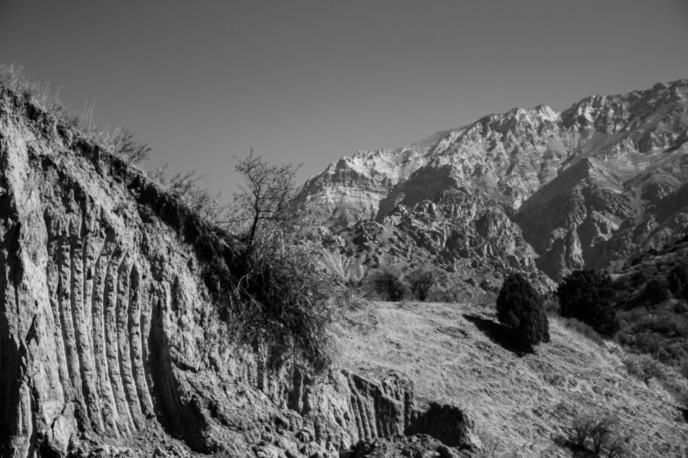 Photograph by Elena Mingazova