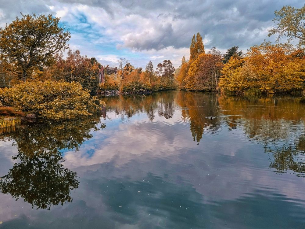 Фотография автора amal ahmed