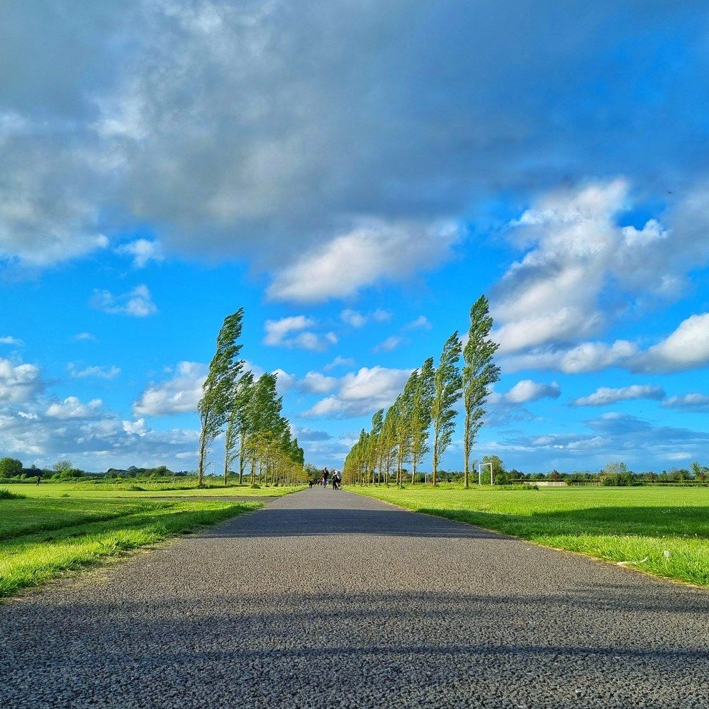 Фотография автора amal ahmed