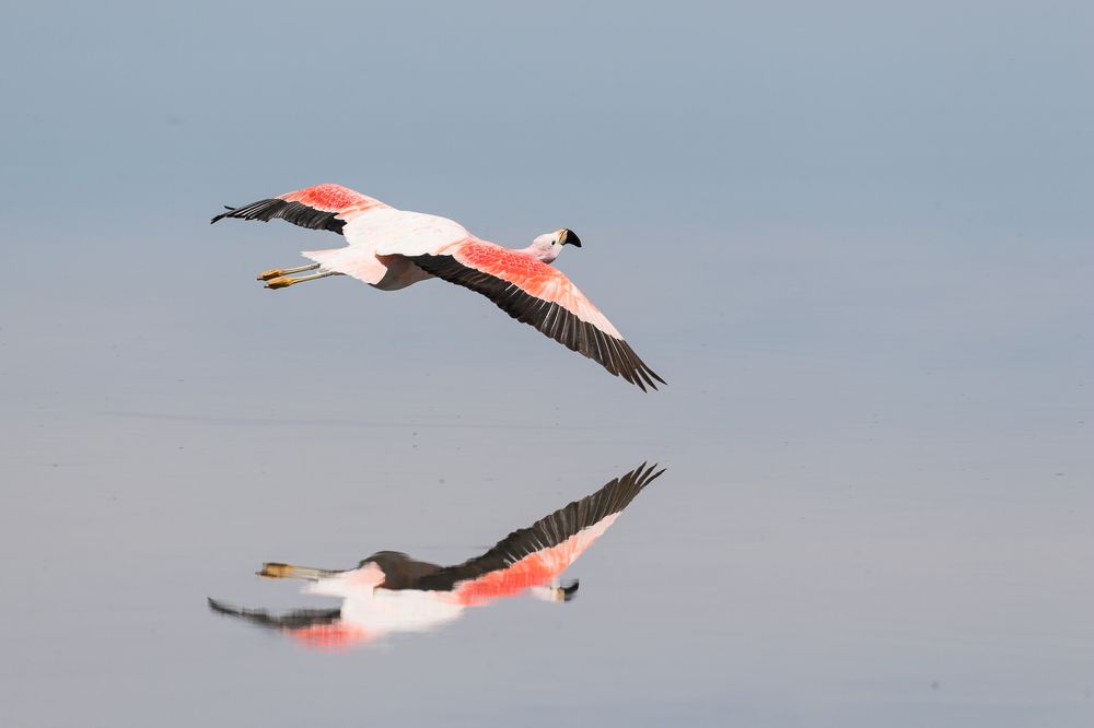 Photograph by Carlos Strelkov